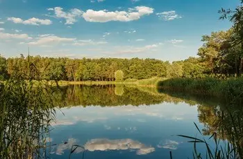 Рыбалка в Калужской области