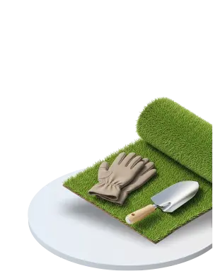 Сад, благоустройство