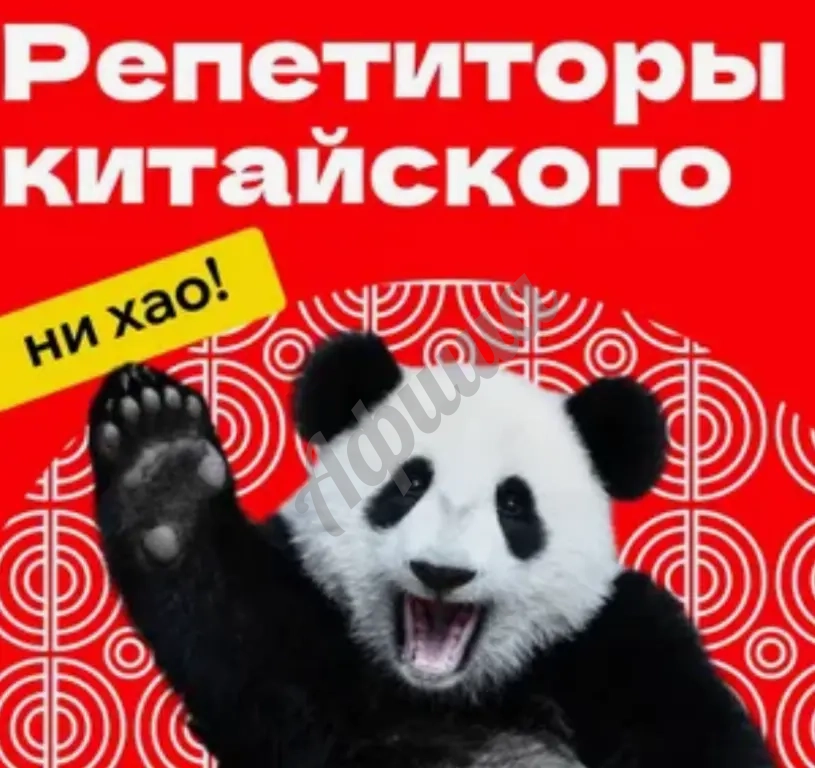 Занятие с репетитором по разговорному китайскому языку