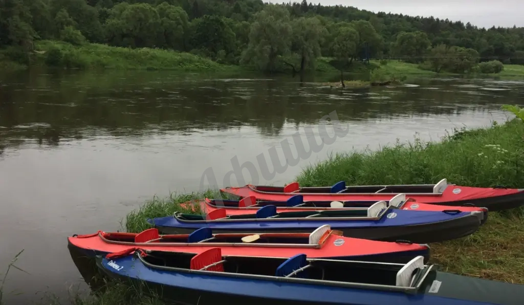 Организация дня рождения или юбилея