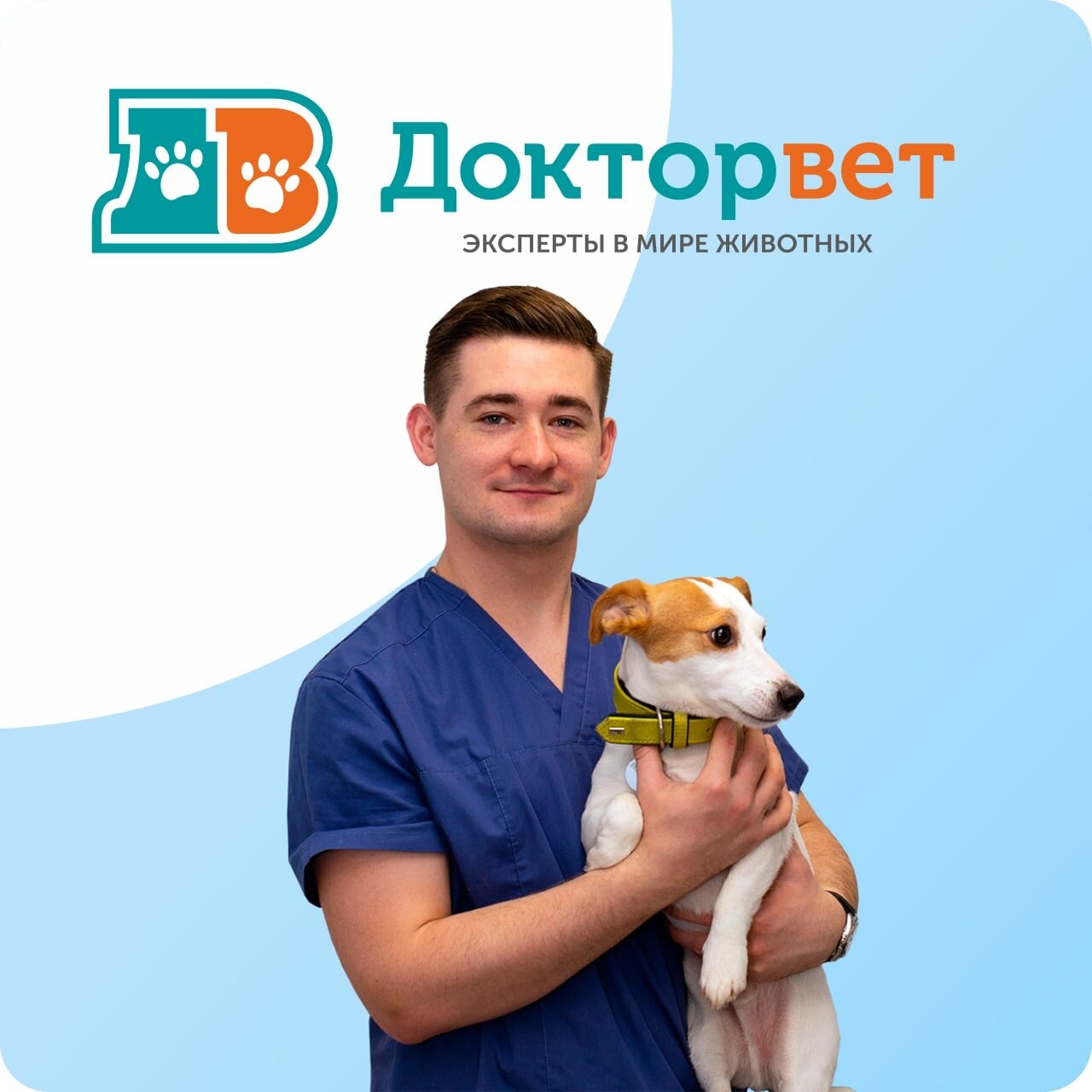 Вызов ветеринарного специалиста на дом