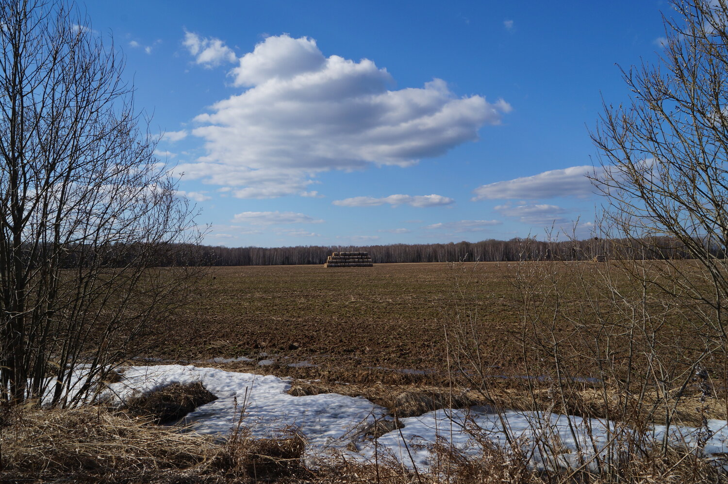 Доверительное управление недвижимостью.