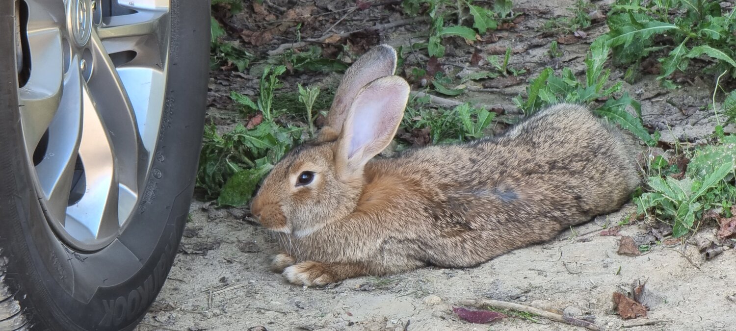 Управление Глэмпингом, базой отдыха.