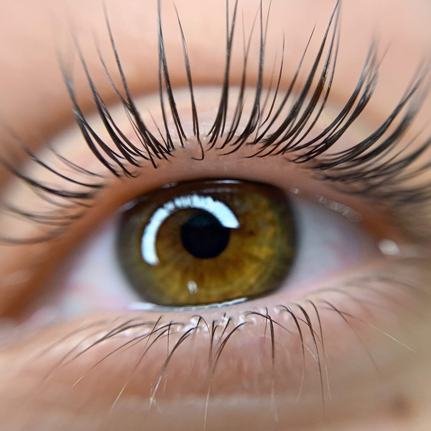 Ламинирование ресниц