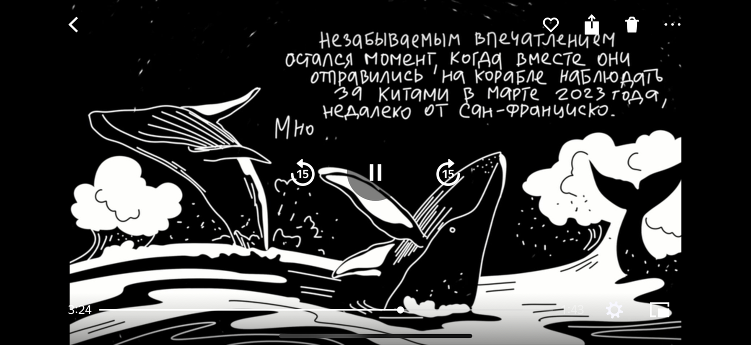 Мультипликационные ролики