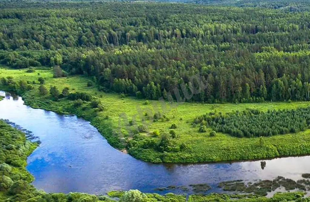 Пешие и велопрогулки
