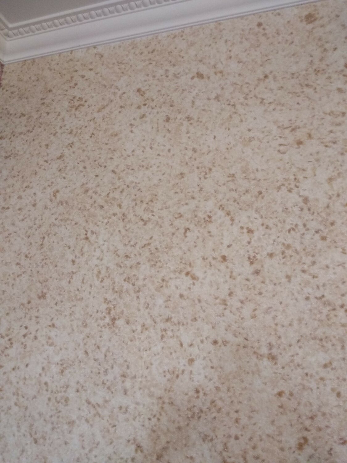 Нанесение жидких обоев.