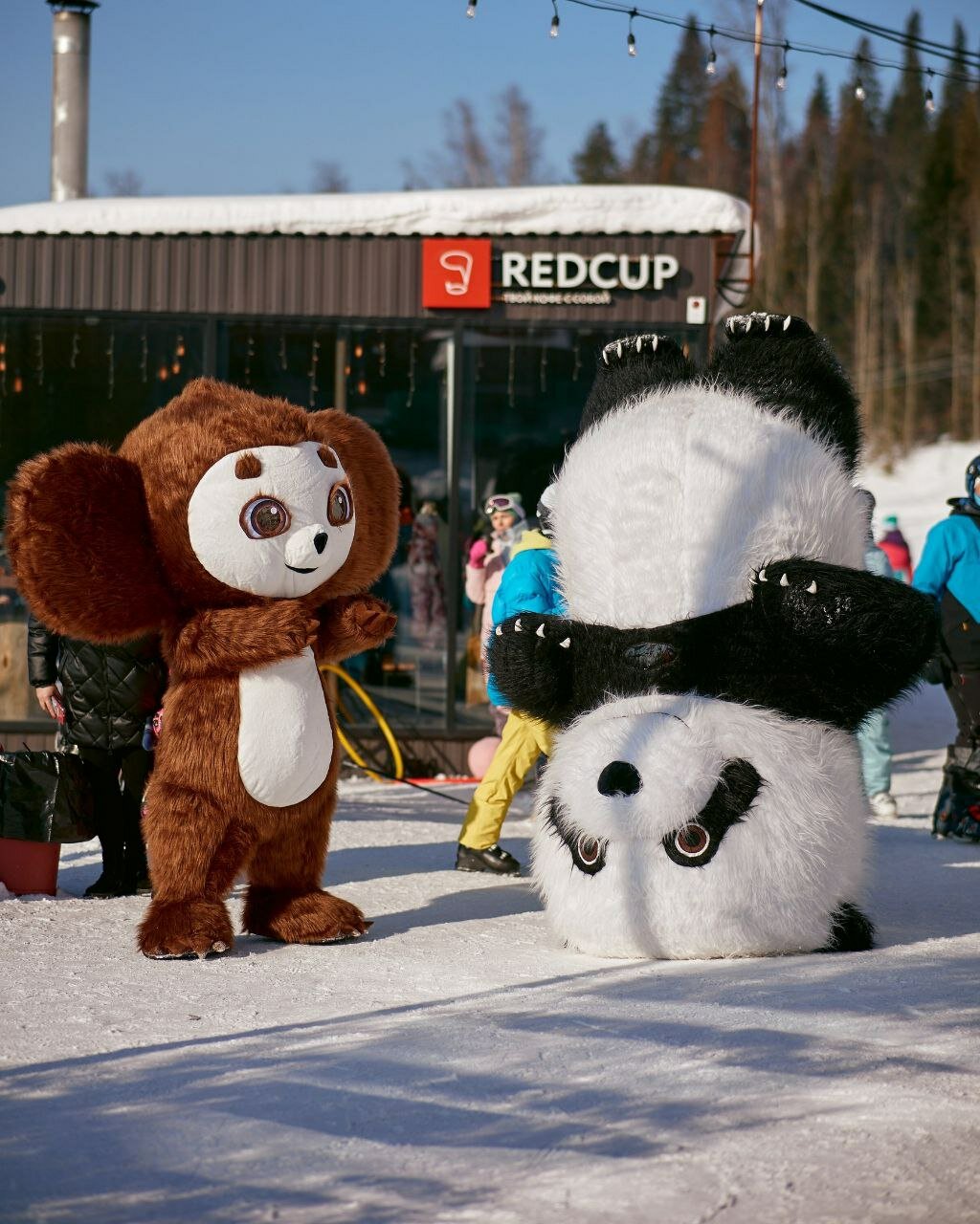 Поздравление от Панды