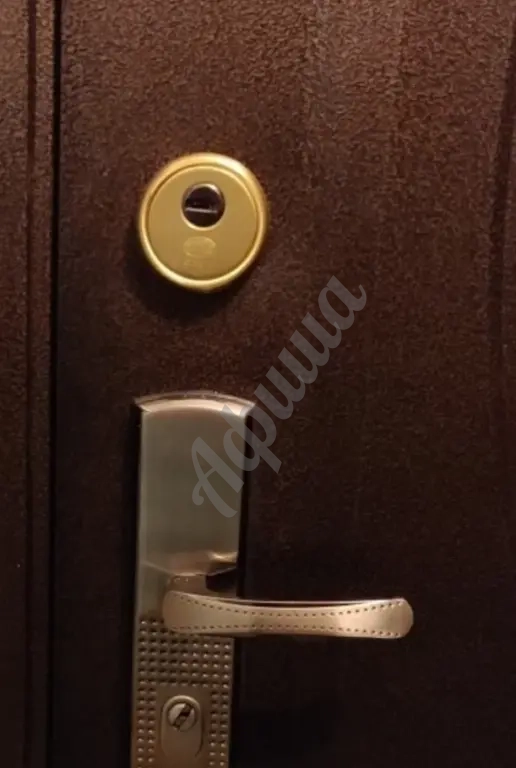 Монтаж броненакладки на дверной замок