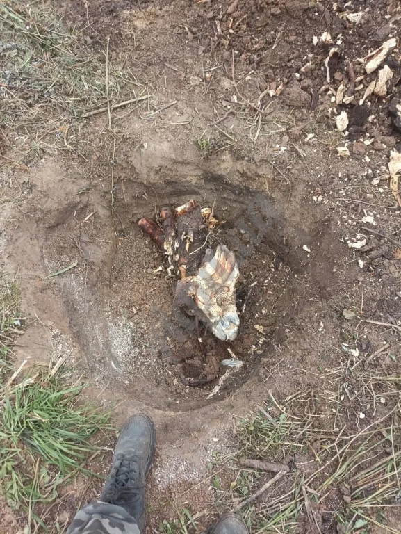 Корчевание дерева