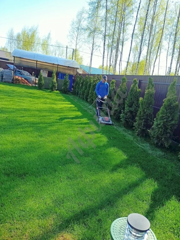 Скарификация газона