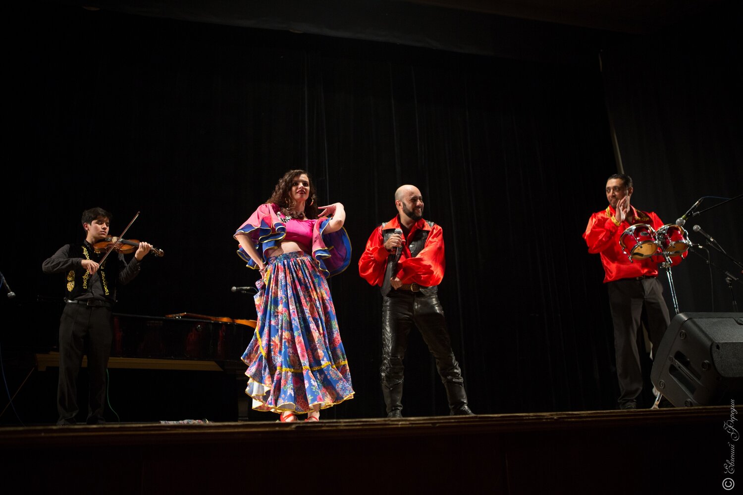 Огонь и страсть цыганской музыки на вашем празднике.