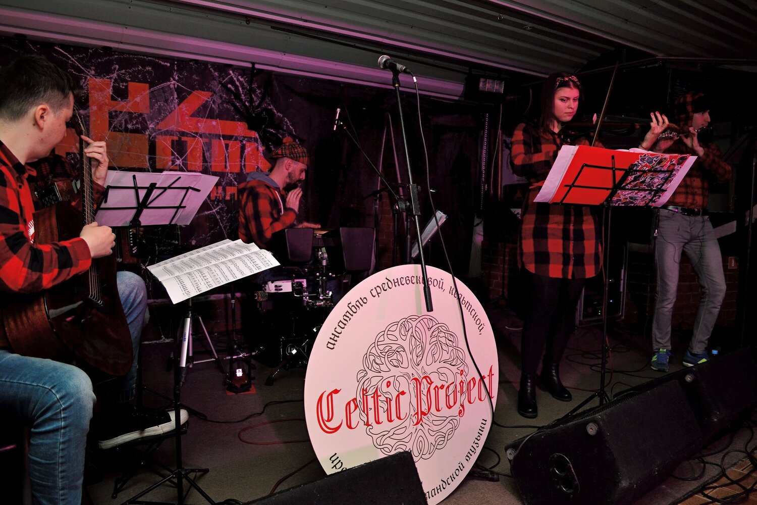 Исполнители кельтской музыки