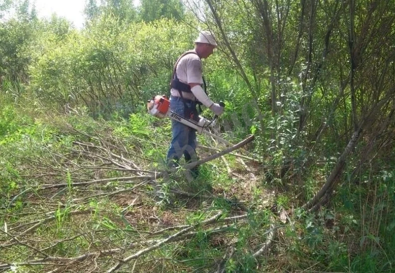 Удаление кустарника