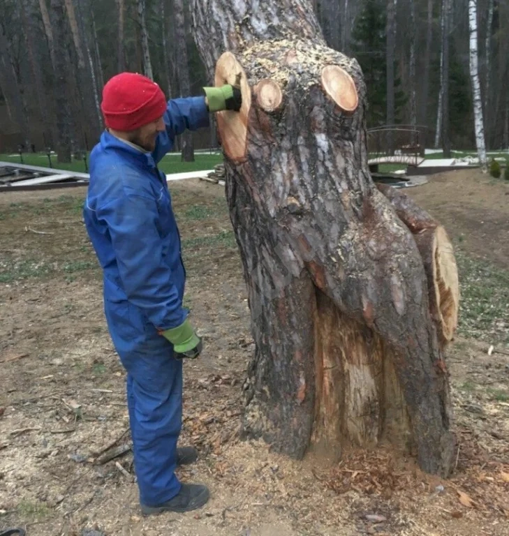 Лечение деревьев