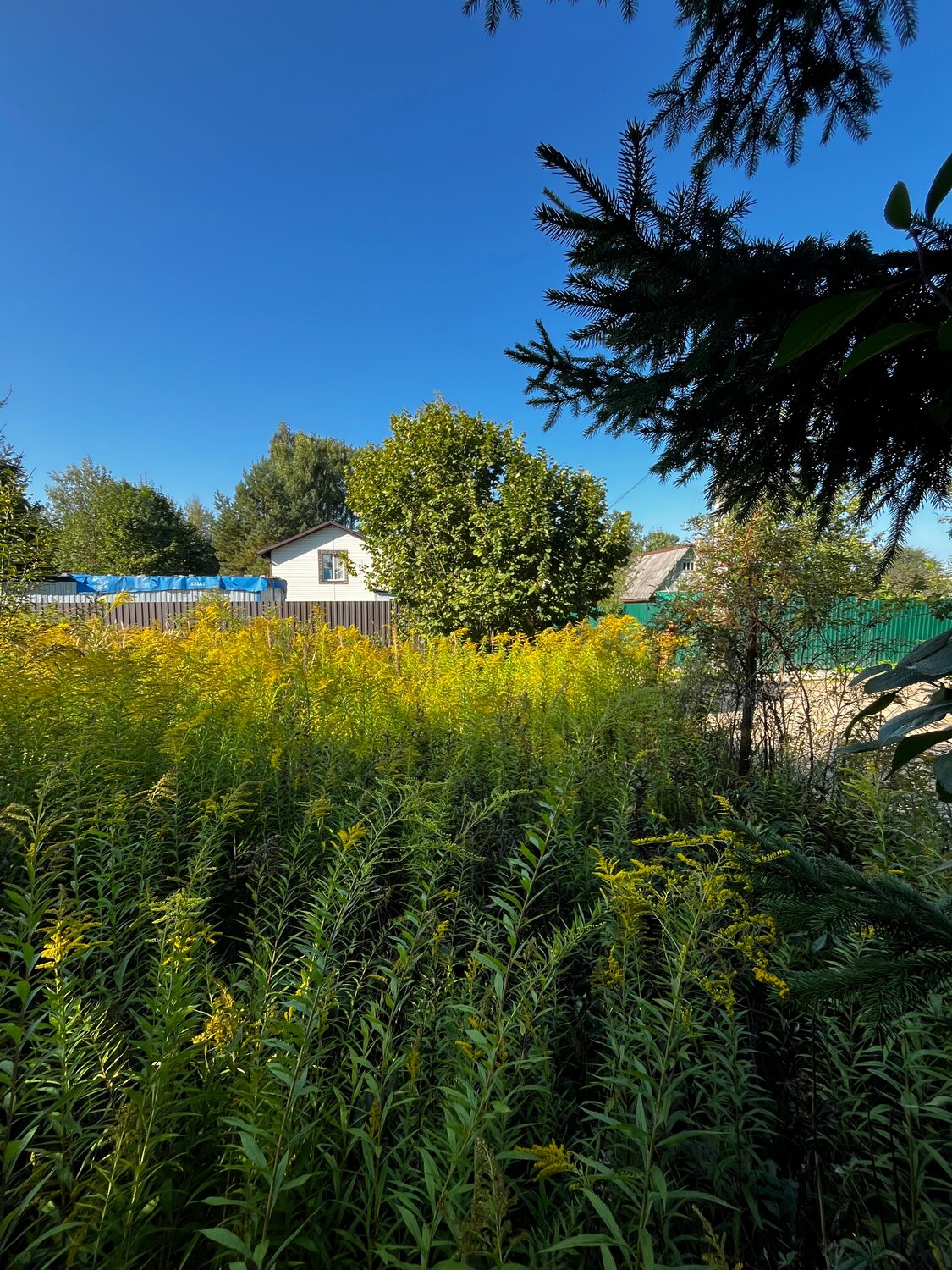 Расчистка участка. Подготовка участка к продажи