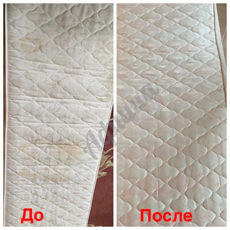Химчистка мягкой мебели