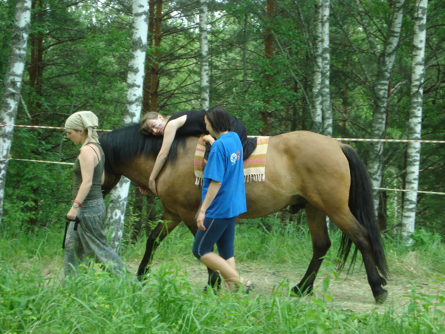 Занятие по конному спорту: индивидуально, разовое занятие