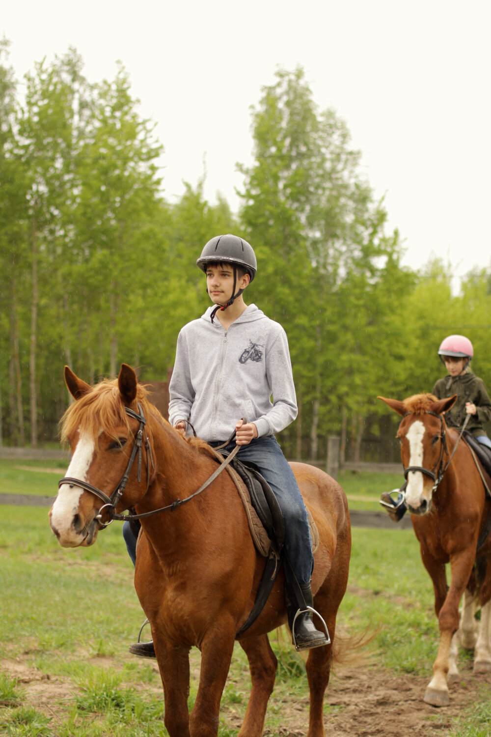 Занятие по конному спорту: индивидуально, разовое занятие