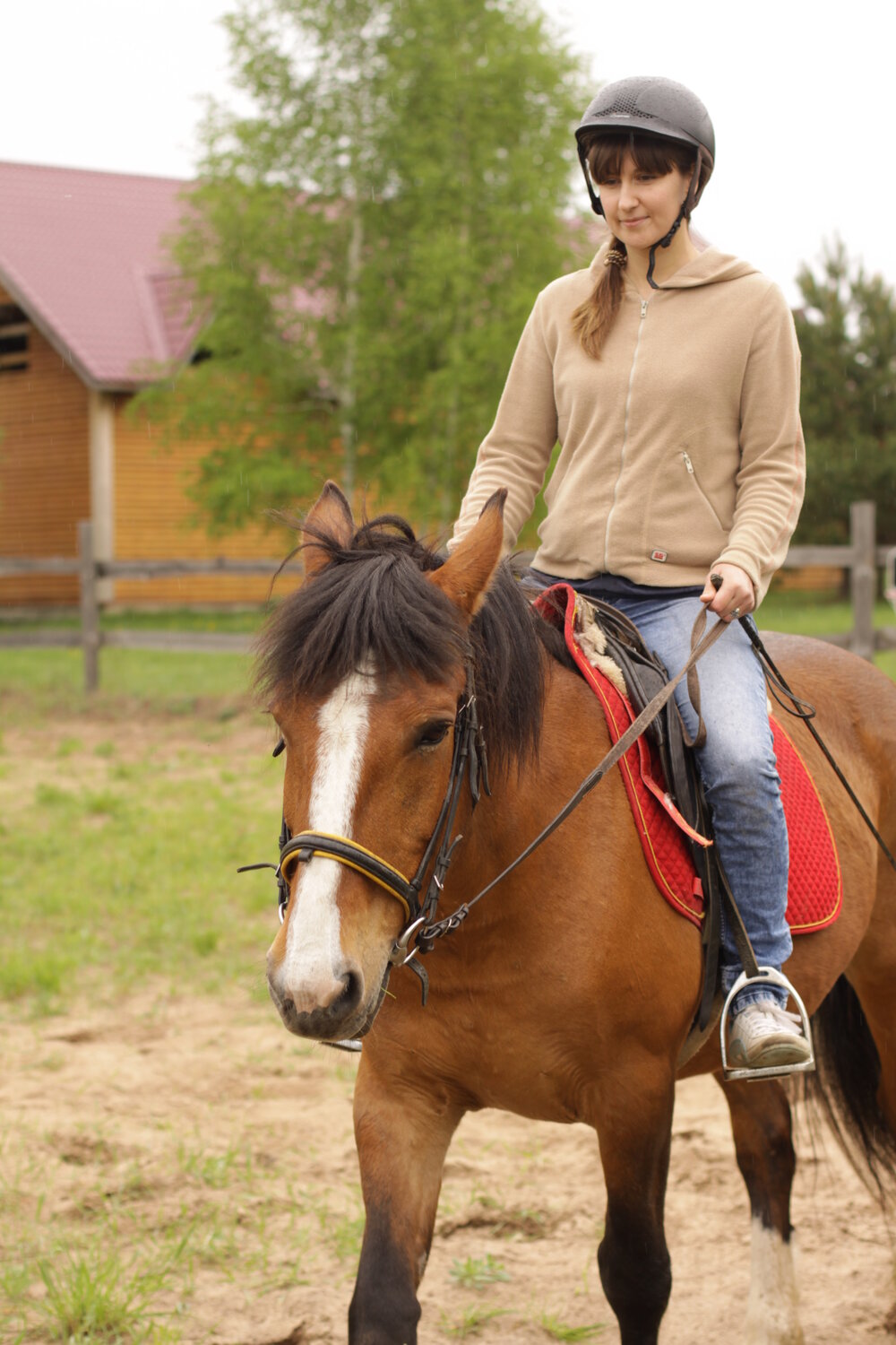 Занятие по конному спорту: индивидуально, разовое занятие