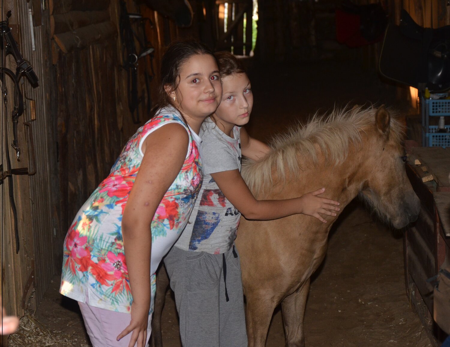 Экскурсия по конюшне