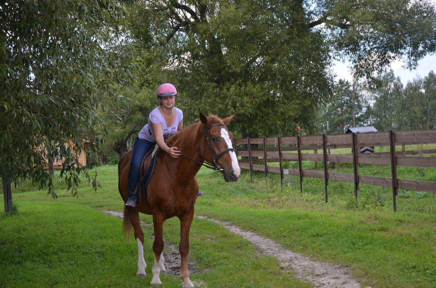 Конные прогулки, прогулки на лошадях