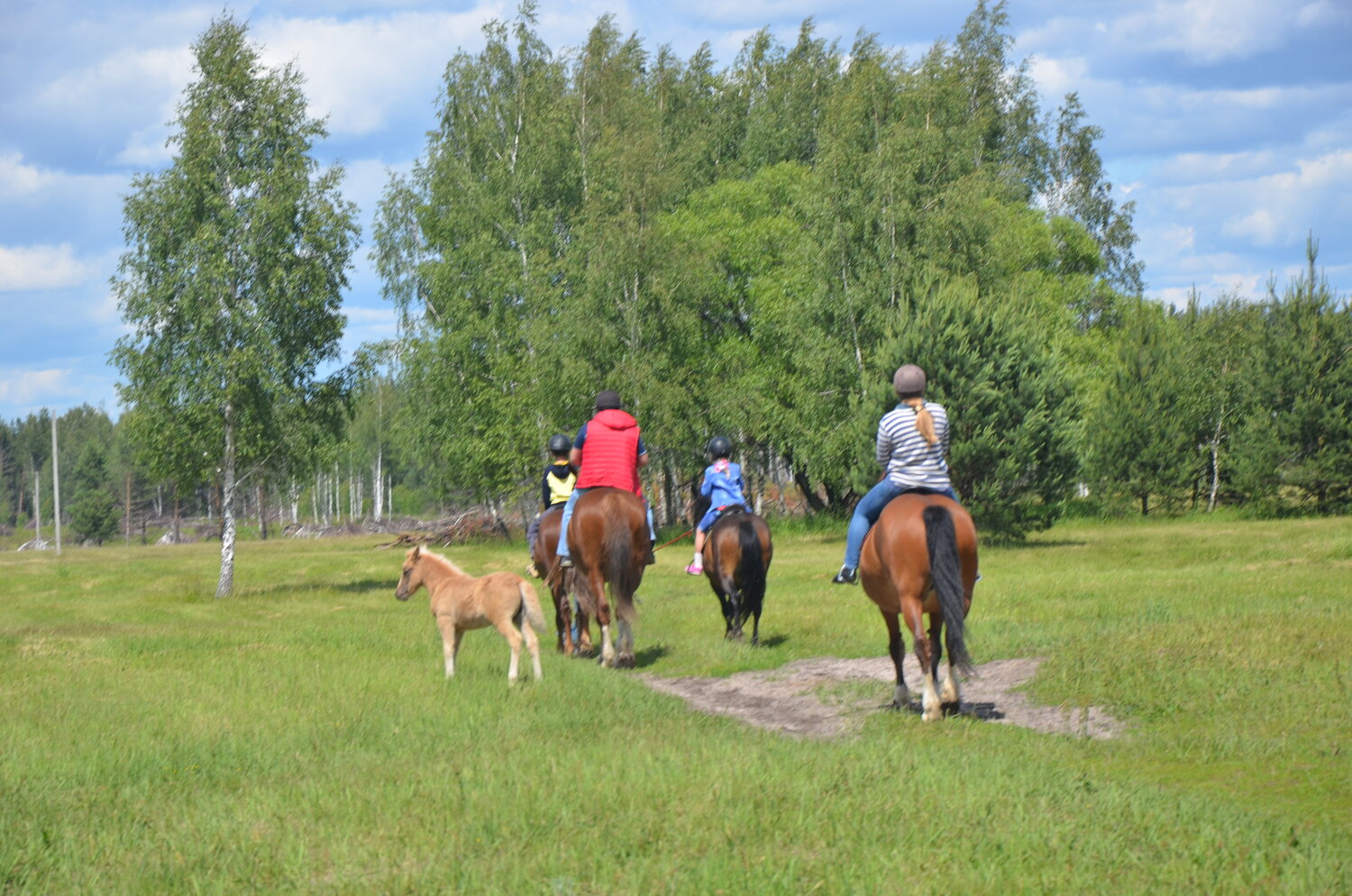 Конные прогулки, прогулки на лошадях