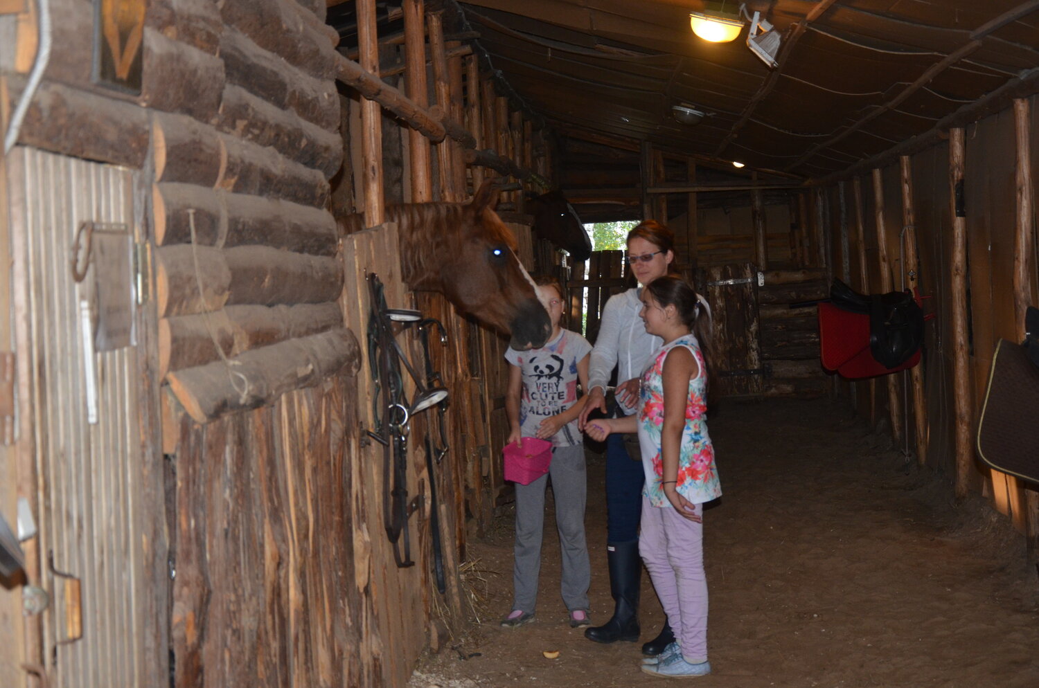 Экскурсия по конюшне
