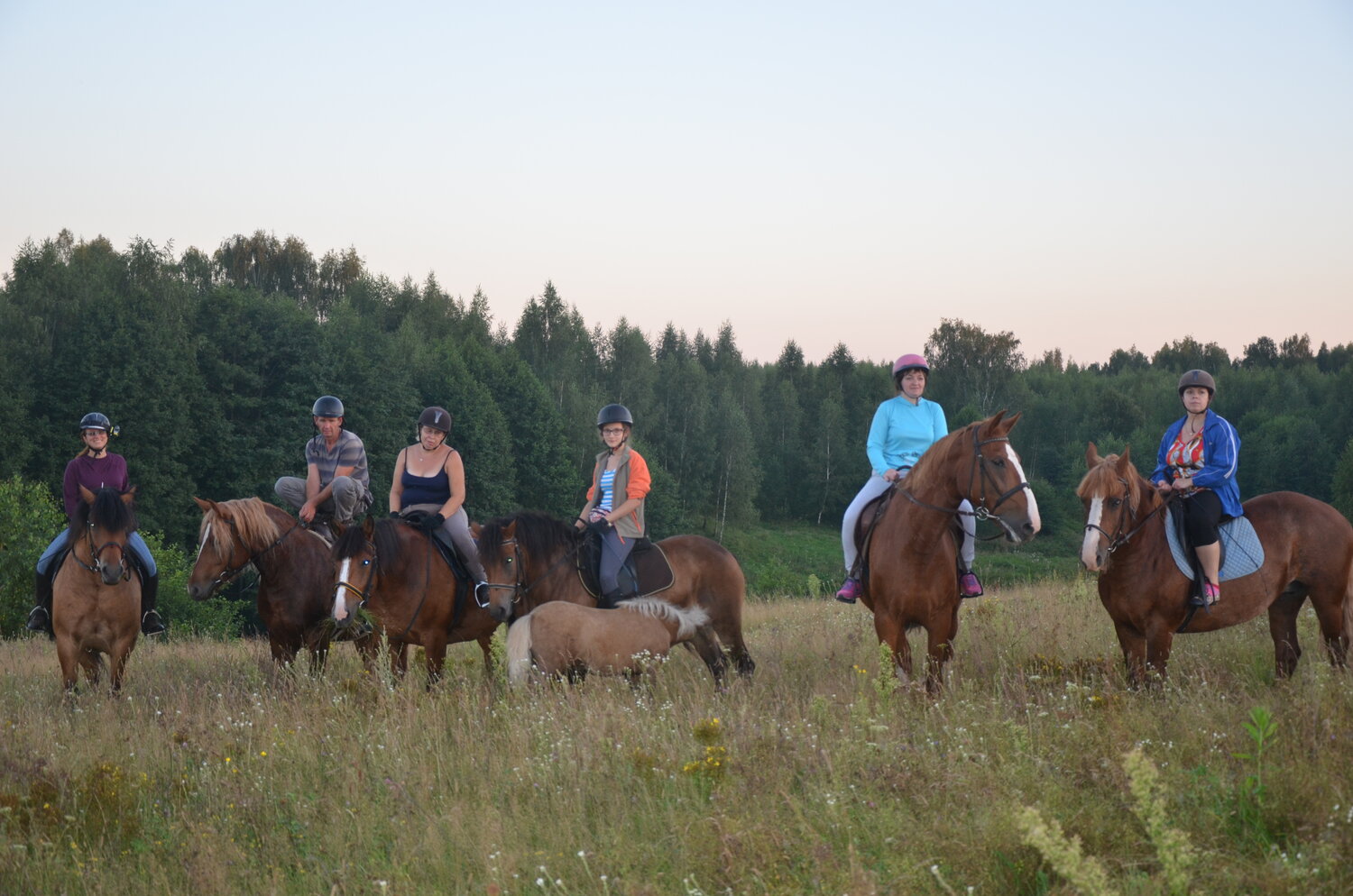 Конные прогулки, прогулки на лошадях