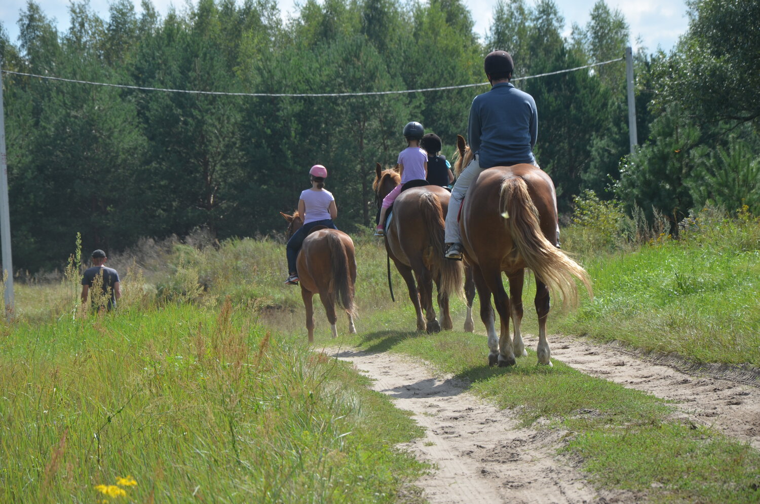 Занятие по конному спорту: в группе, разовое занятие