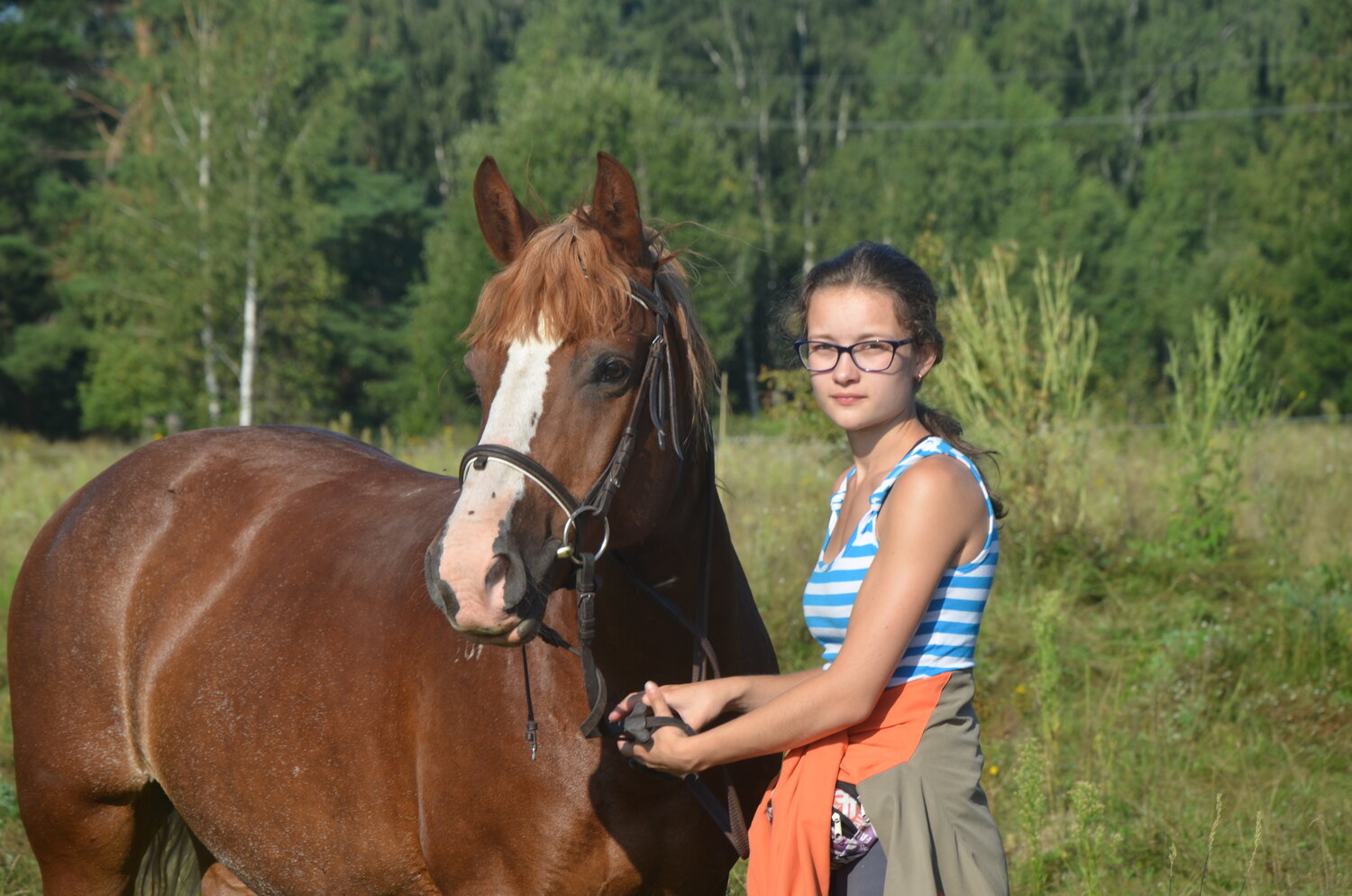 Экскурсия по конюшне