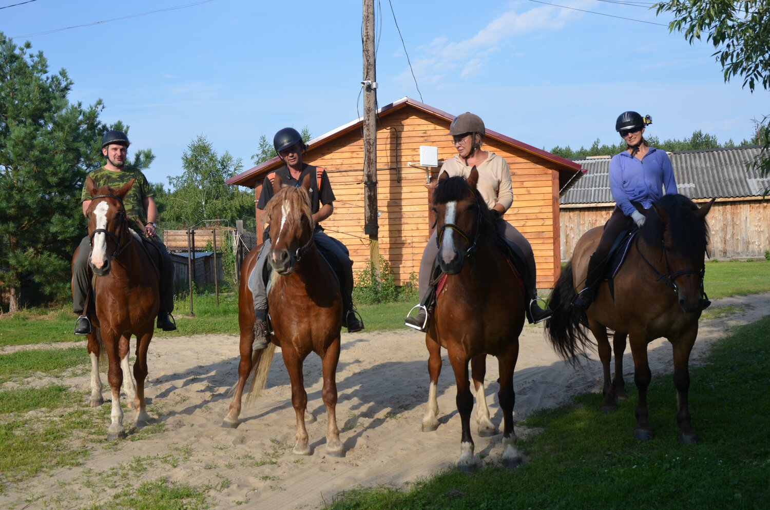 Конные прогулки, прогулки на лошадях
