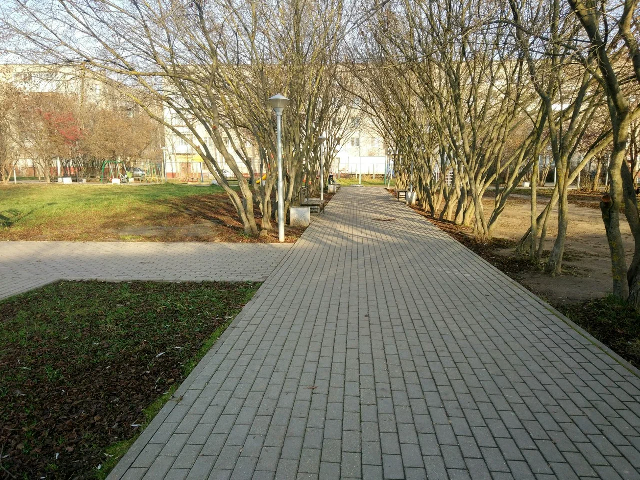 Тайфуновский парк