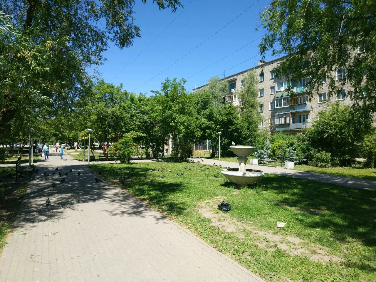 Тайфуновский парк