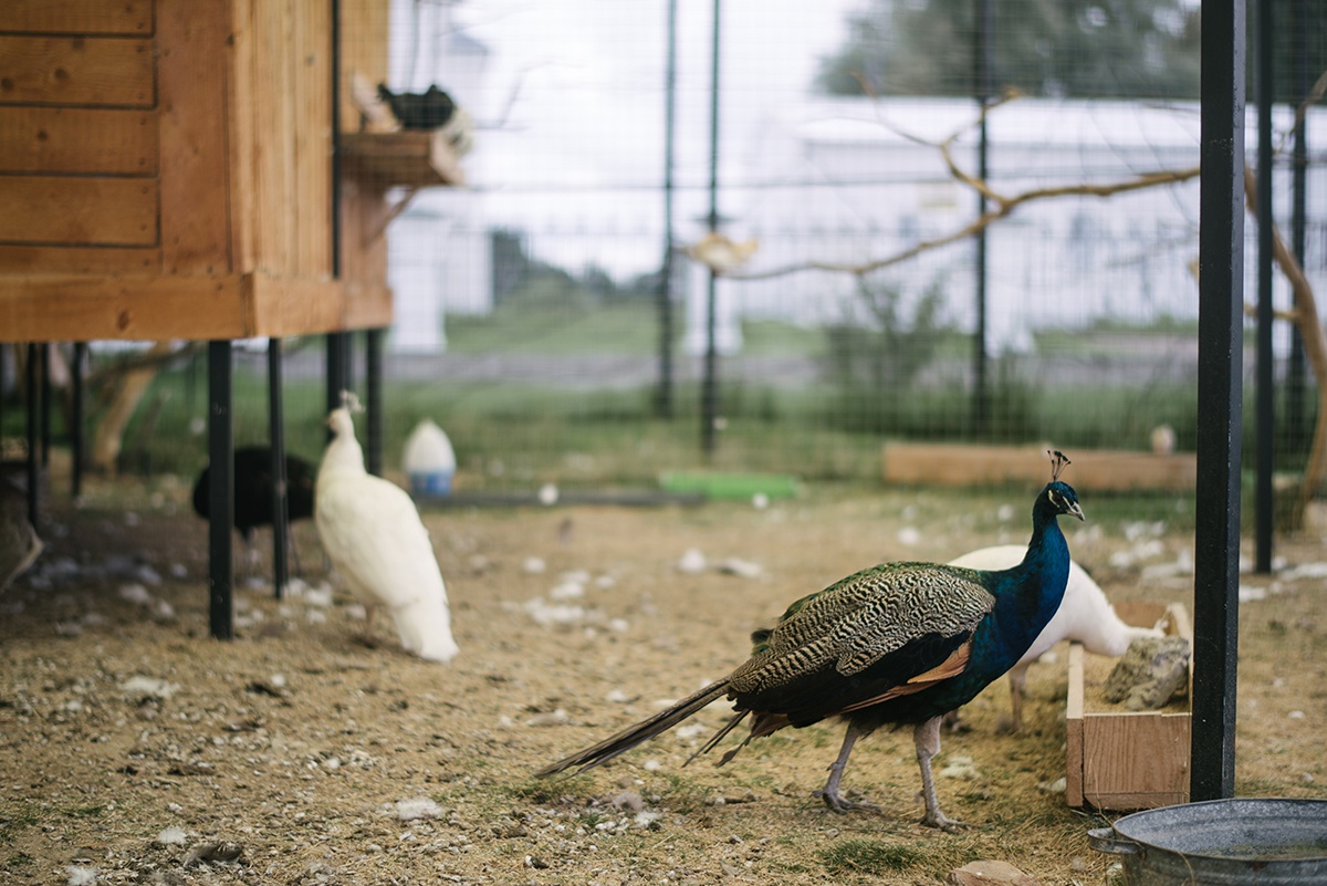 Мещовский Свято-Георгиевский монастырь: духовный центр и царская святыня