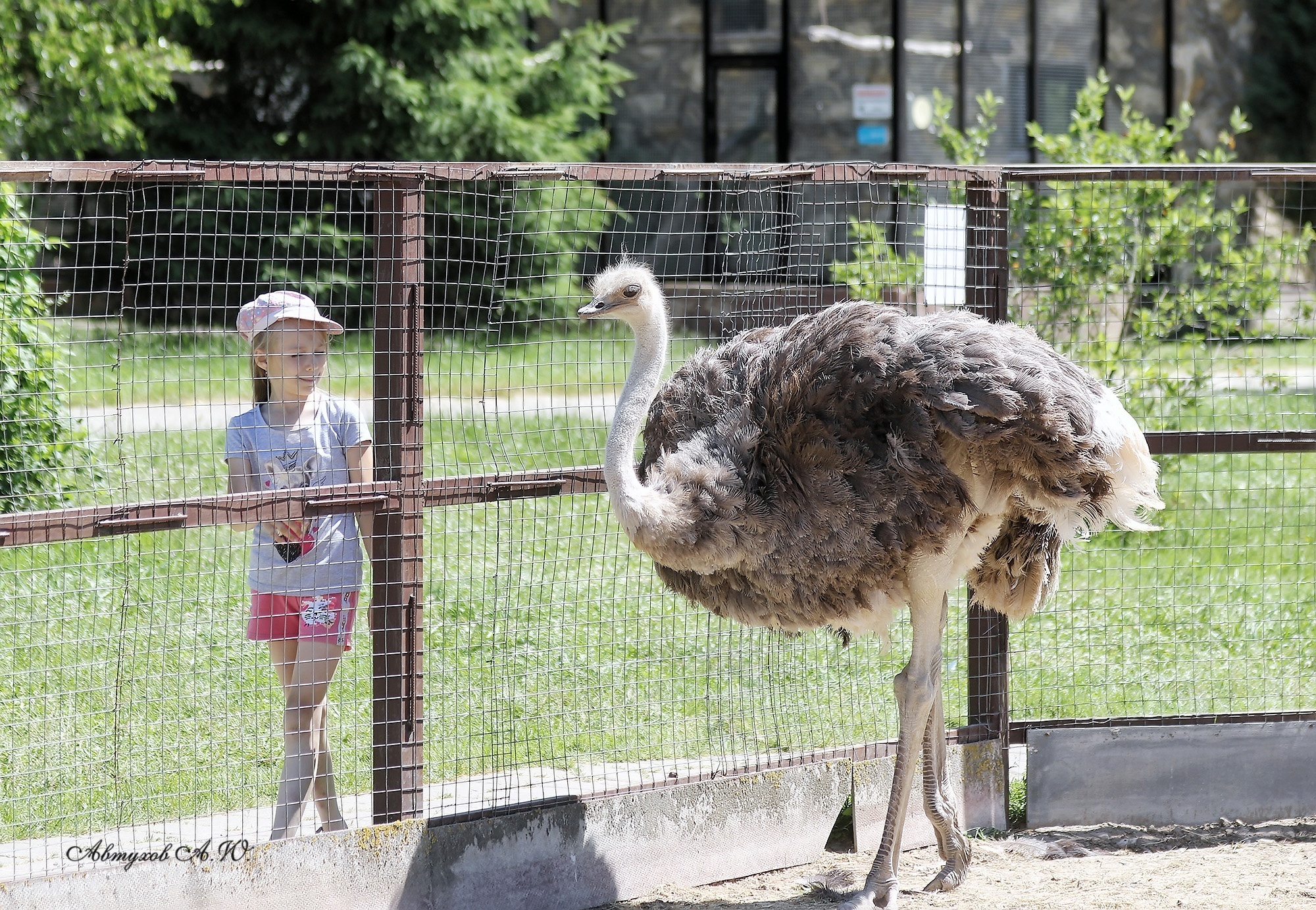 Парк птиц «Воробьи» в Калужской области — крупнейший в России!
