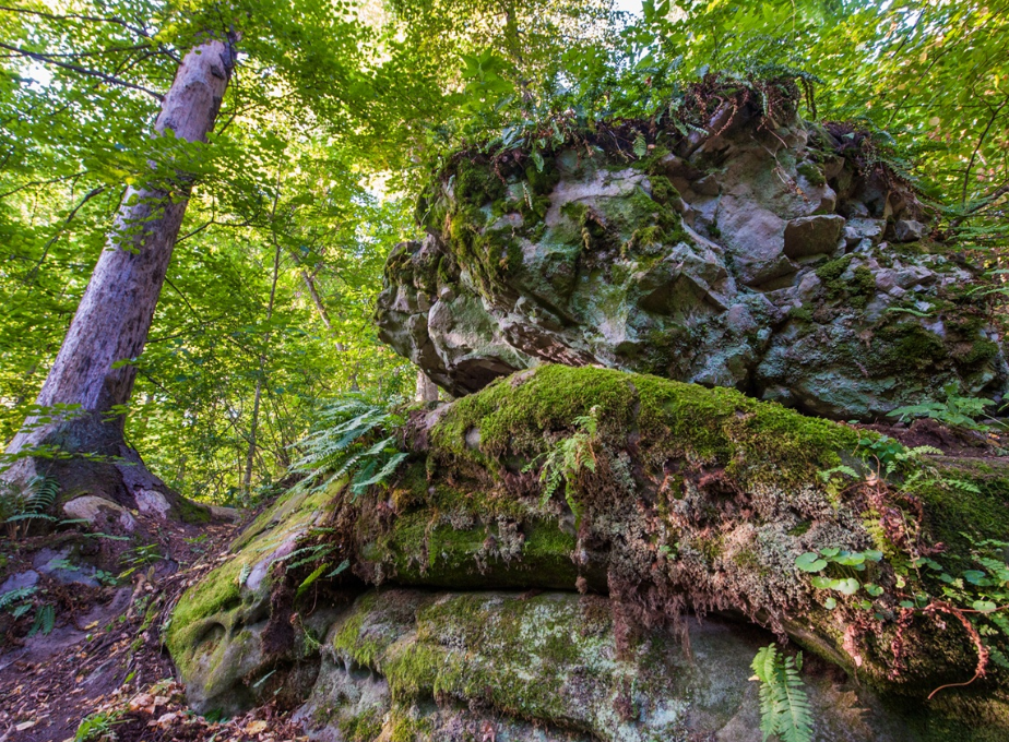 Урочище «Чертово городище»: уникальный памятник природы, истории и легенд