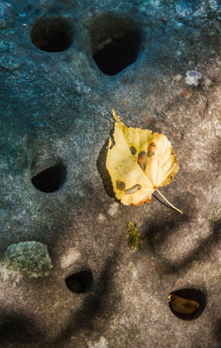 Урочище «Чертово городище»: уникальный памятник природы, истории и легенд