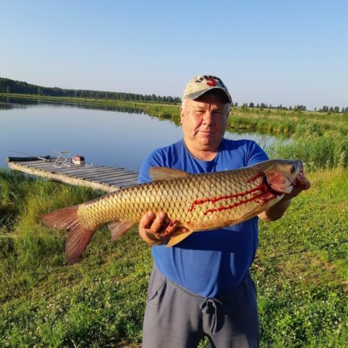 БАЗА ОТДЫХА "ДЕРЕВНЯ ОЗЕРО"