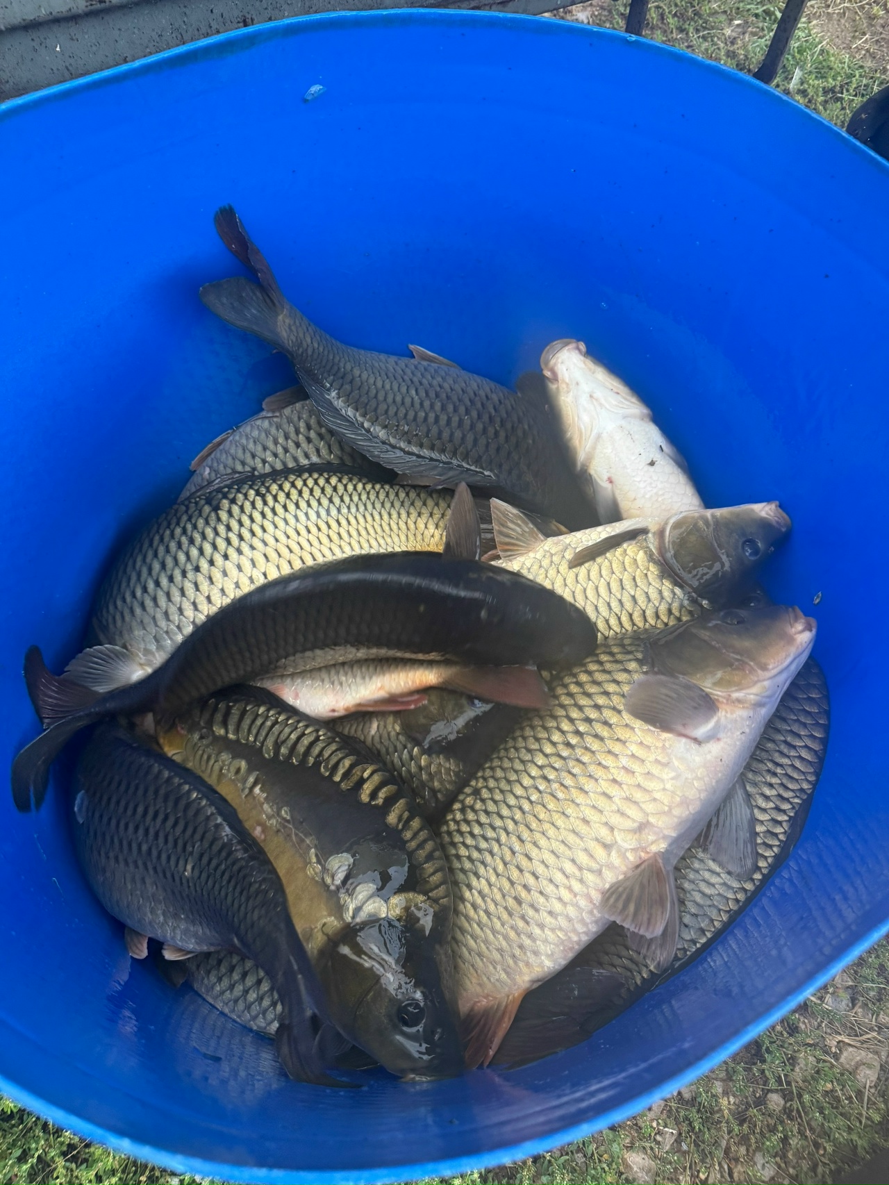 Клуб охотников и рыболовов "Посейдон"