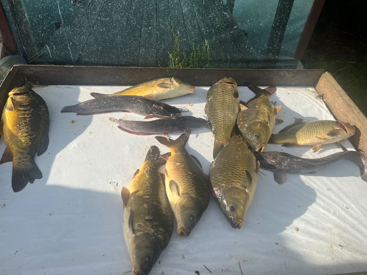 Клёвое место