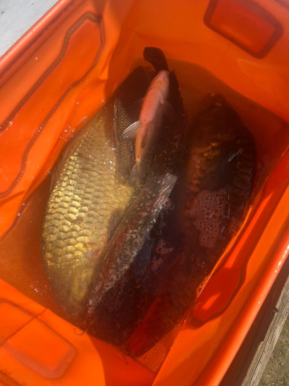 Клёвое место