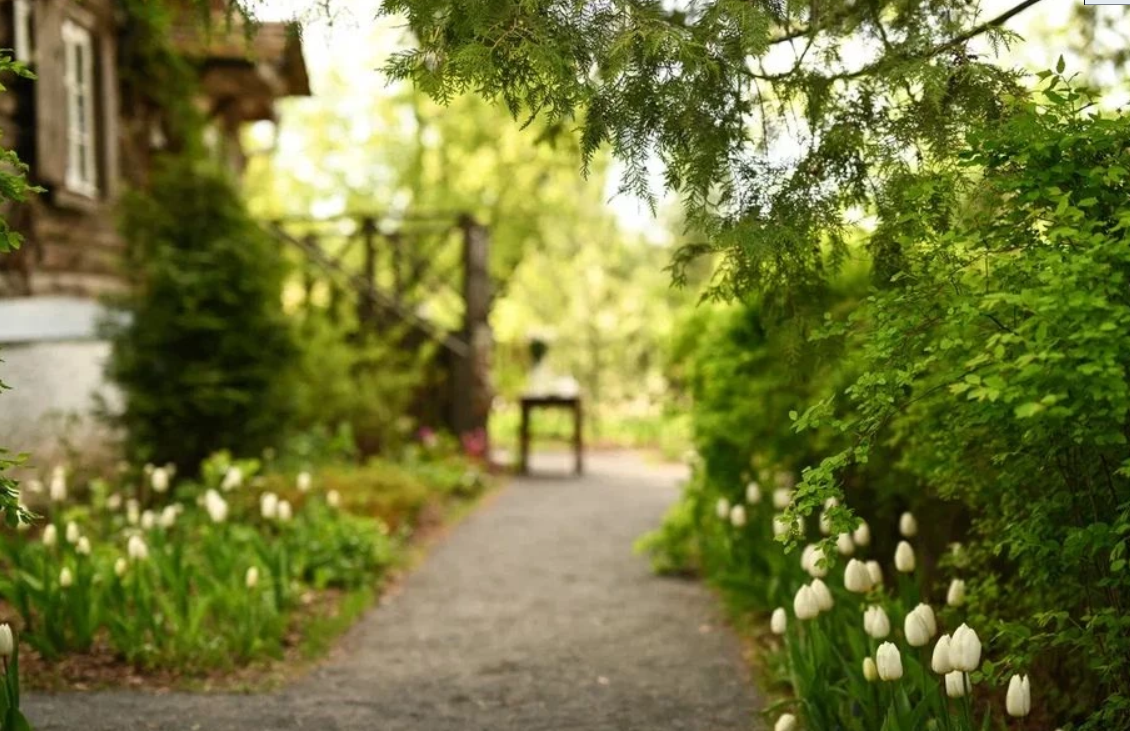 Дом-музей и сад-дендрарий Ракицкого