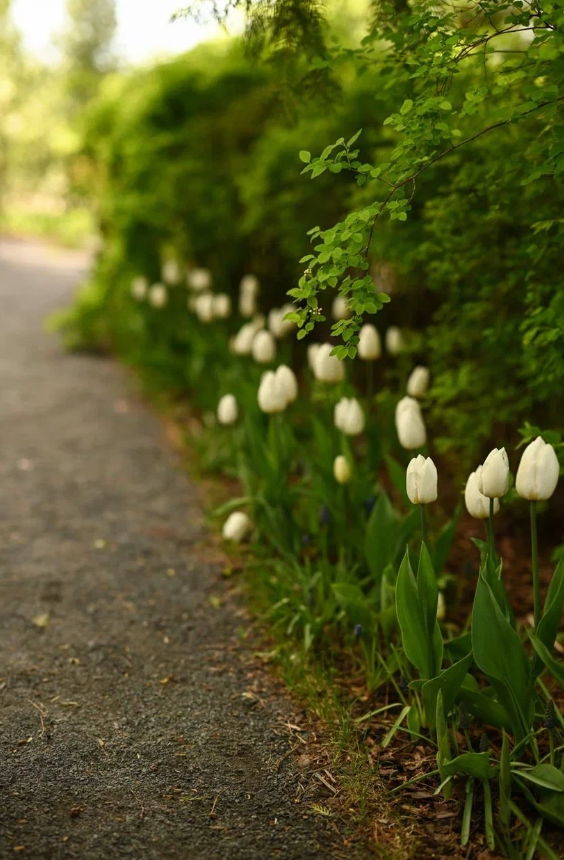Дом-музей и сад-дендрарий Ракицкого