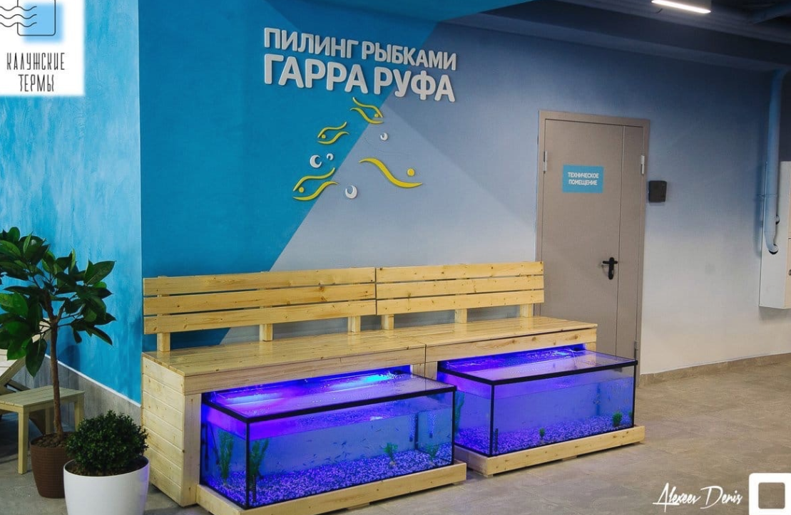 Калужские Термы