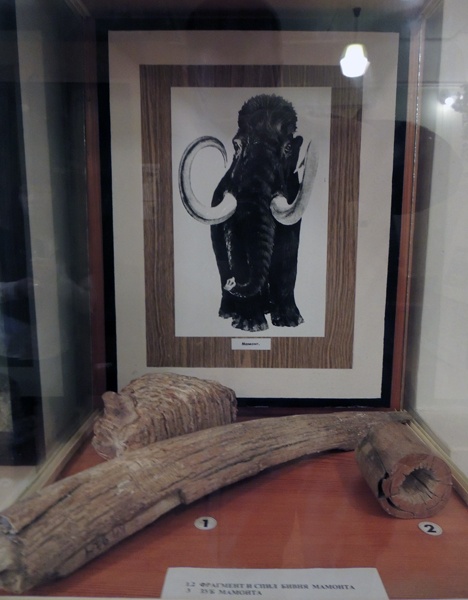 Дом Богдановых