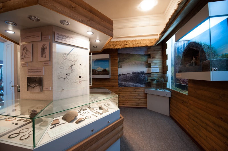 Дом Цыплаковых