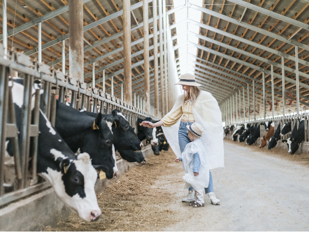 Молочный комплекс «ЭкоНива»