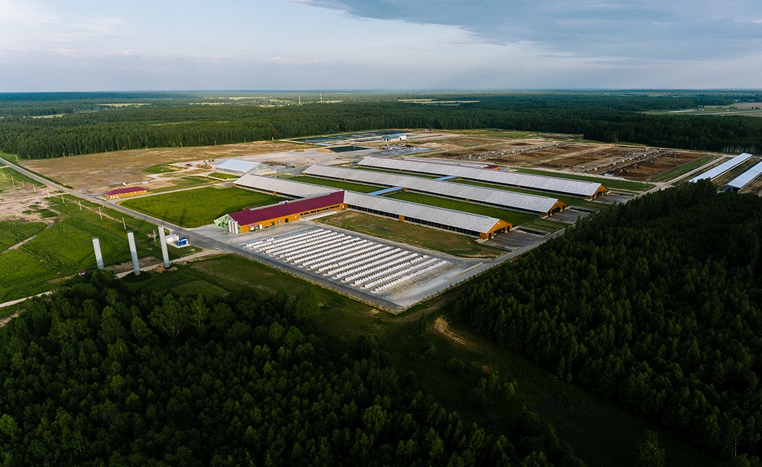 Молочный комплекс «ЭкоНива»