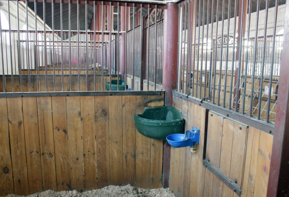 Конно-спортивный клуб «Пони-Лэнд»